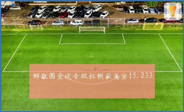 邹敬园全运会双杠斩获高分15.233