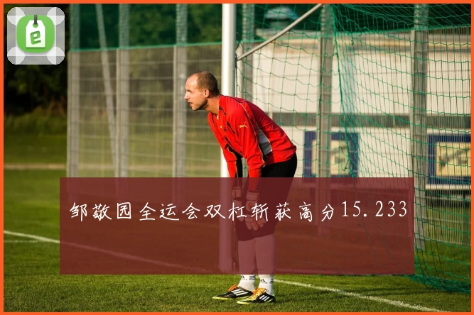 邹敬园全运会双杠斩获高分15.233