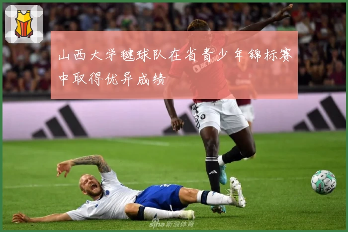 山西大学毽球队在省青少年锦标赛中取得优异成绩